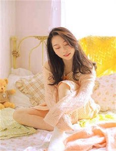 特洛伊2004