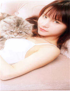 孙佳君三级/花蝴蝶免费版大全多少集