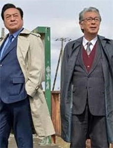 退婚后被大佬惯坏了